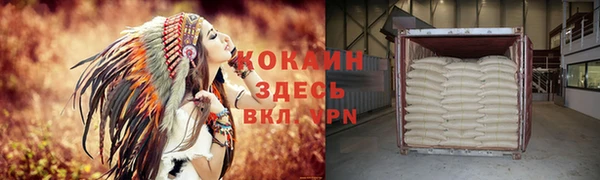spice Краснослободск